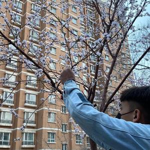 奥林匹斯乱交派对
